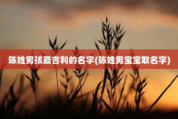 陈姓男孩最吉利的名字(陈姓男宝宝取名字)