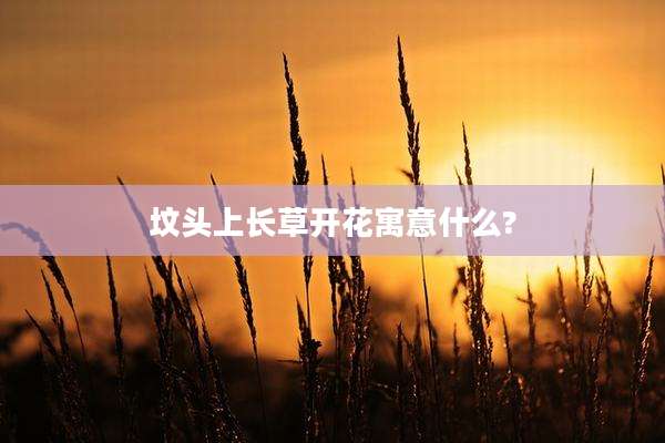 坟头上长草开花寓意什么?