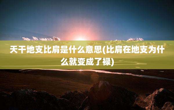天干地支比肩是什么意思(比肩在地支为什么就变成了禄)