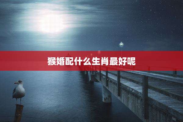猴婚配什么生肖最好呢