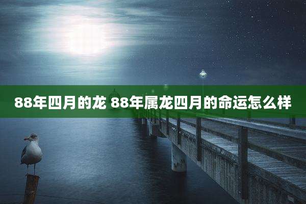 88年四月的龙 88年属龙四月的命运怎么样