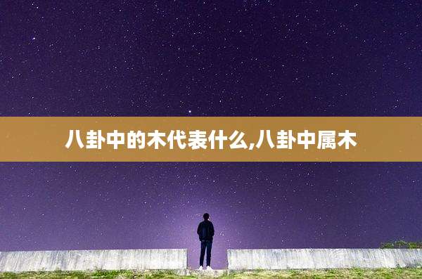 八卦中的木代表什么,八卦中属木