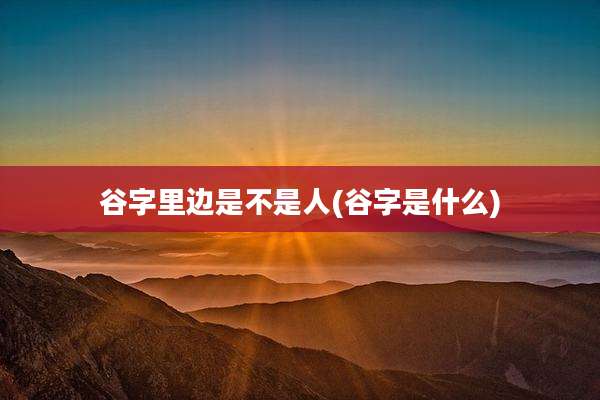 谷字里边是不是人(谷字是什么)