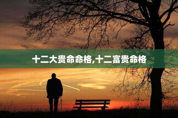 十二大贵命命格,十二富贵命格