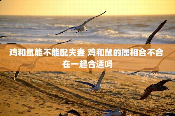 鸡和鼠能不能配夫妻 鸡和鼠的属相合不合 在一起合适吗