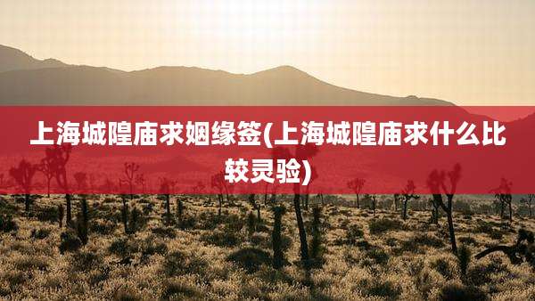 上海城隍庙求姻缘签(上海城隍庙求什么比较灵验)