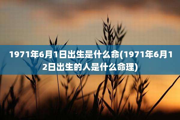 1971年6月1日出生是什么命(1971年6月12日出生的人是什么命理)