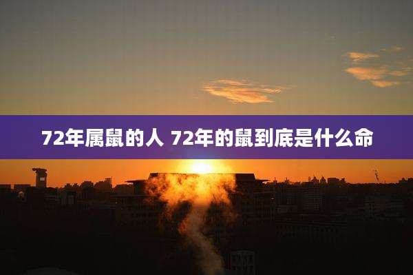 72年属鼠的人 72年的鼠到底是什么命