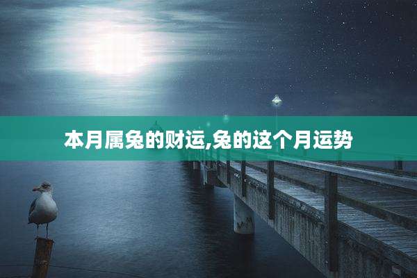 本月属兔的财运,兔的这个月运势