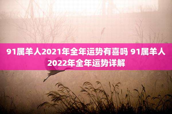 91属羊人2021年全年运势有喜吗 91属羊人2022年全年运势详解