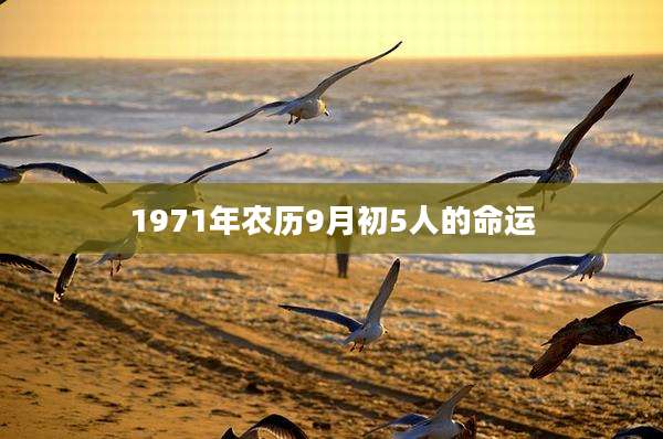 1971年农历9月初5人的命运