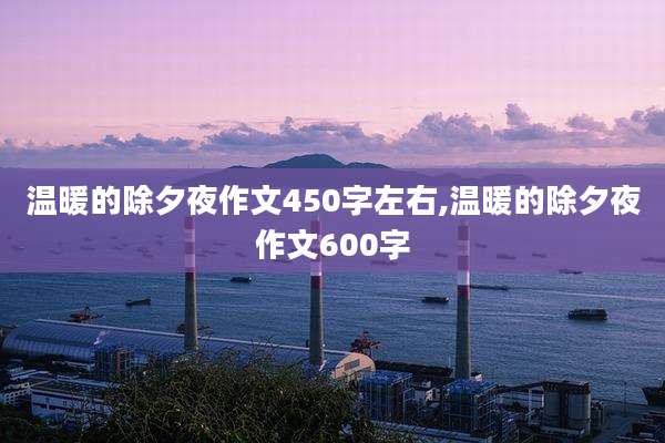 温暖的除夕夜作文450字左右,温暖的除夕夜作文600字