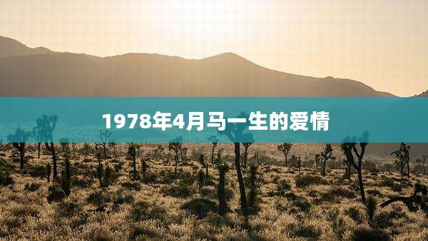 1978年4月马一生的爱情