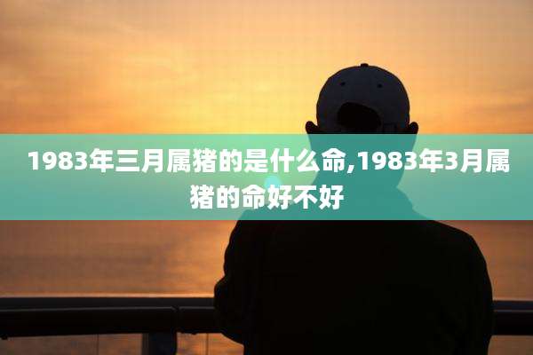 1983年三月属猪的是什么命,1983年3月属猪的命好不好