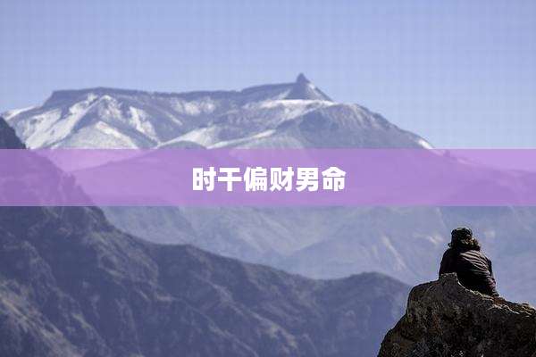 时干偏财男命