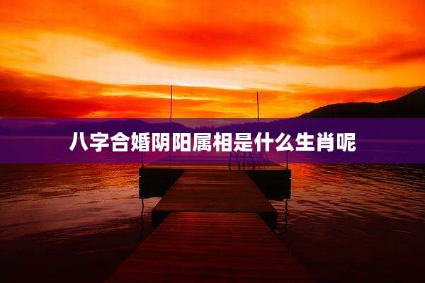八字合婚阴阳属相是什么生肖呢