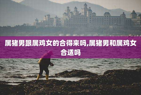 属猪男跟属鸡女的合得来吗,属猪男和属鸡女合适吗