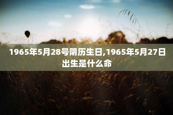 1965年5月28号阴历生日,1965年5月27日出生是什么命