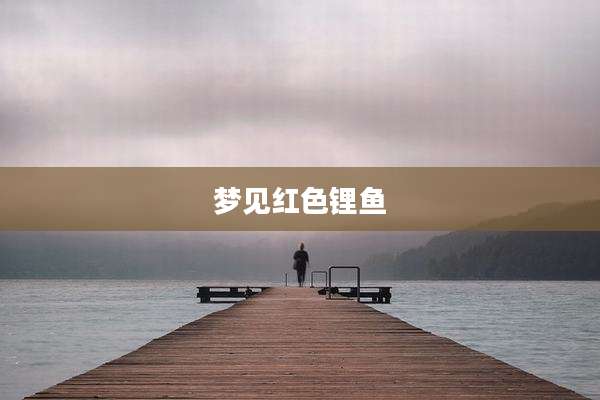 梦见红色锂鱼