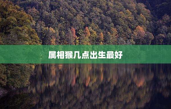 属相猴几点出生最好