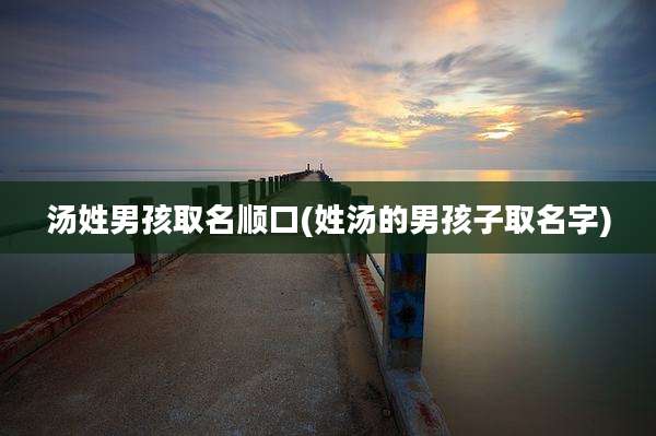 汤姓男孩取名顺口(姓汤的男孩子取名字)