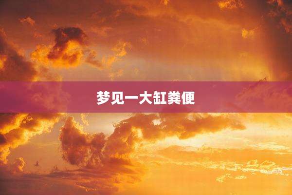 梦见一大缸粪便
