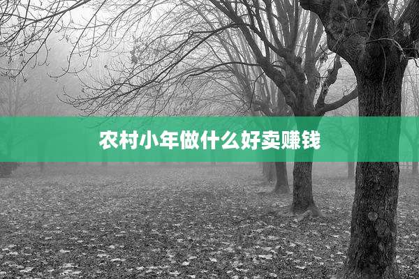 农村小年做什么好卖赚钱