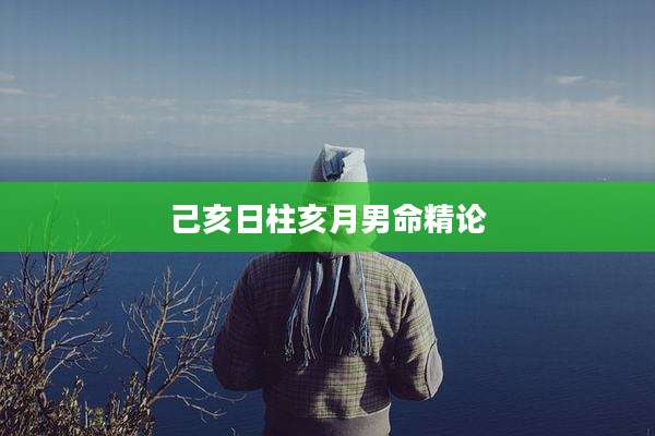 己亥日柱亥月男命精论