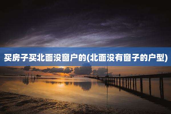 买房子买北面没窗户的(北面没有窗子的户型)