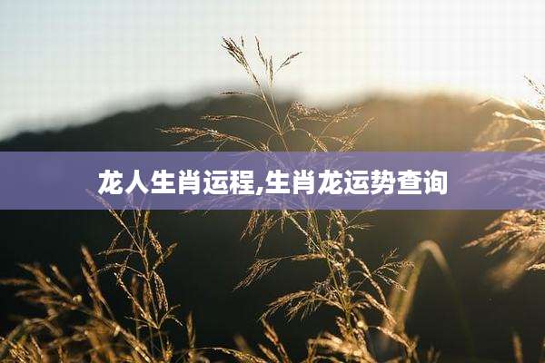 龙人生肖运程,生肖龙运势查询