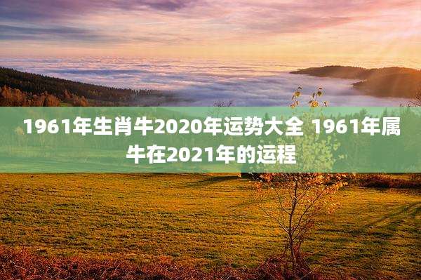 1961年生肖牛2020年运势大全 1961年属牛在2021年的运程