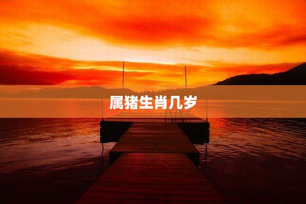 属猪生肖几岁