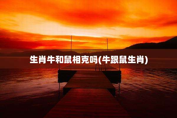 生肖牛和鼠相克吗(牛跟鼠生肖)