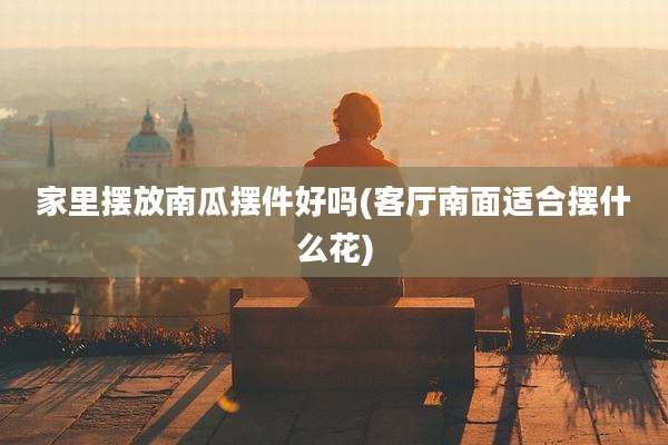 家里摆放南瓜摆件好吗(客厅南面适合摆什么花)