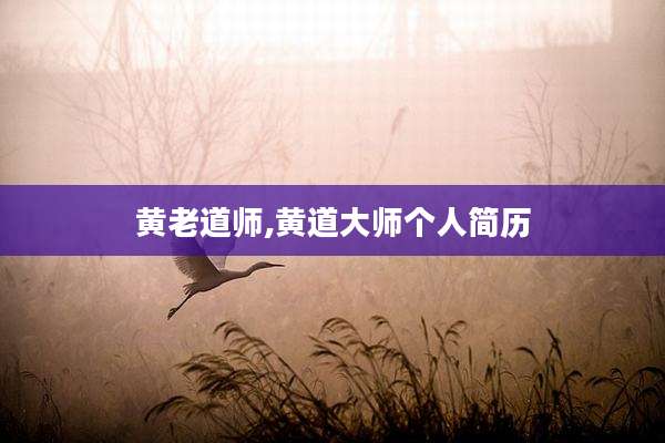 黄老道师,黄道大师个人简历