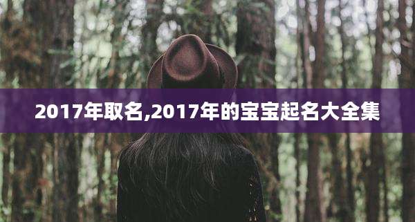 2017年取名,2017年的宝宝起名大全集