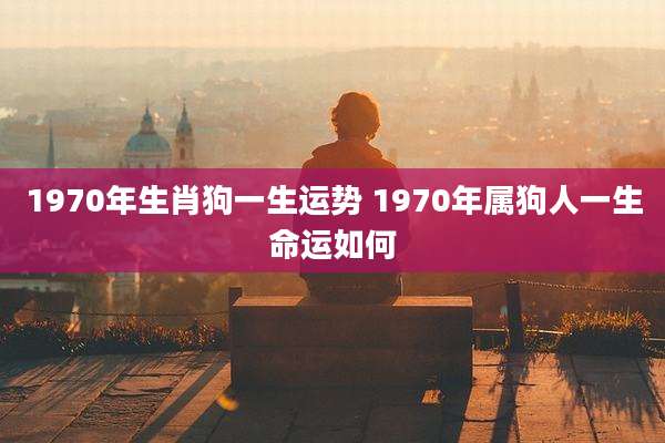 1970年生肖狗一生运势 1970年属狗人一生命运如何
