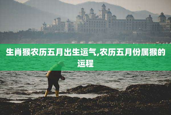 生肖猴农历五月出生运气,农历五月份属猴的运程