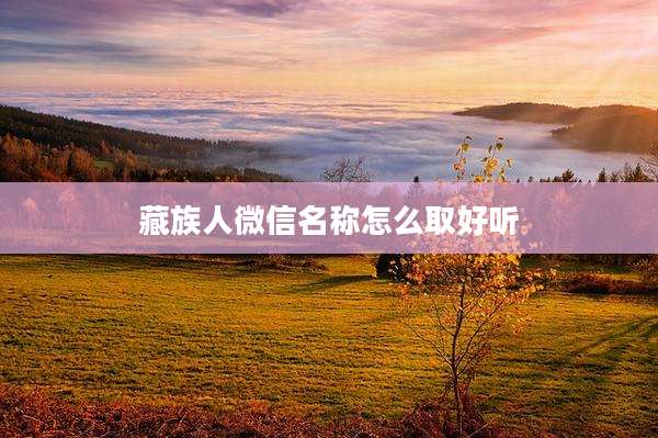 藏族人微信名称怎么取好听