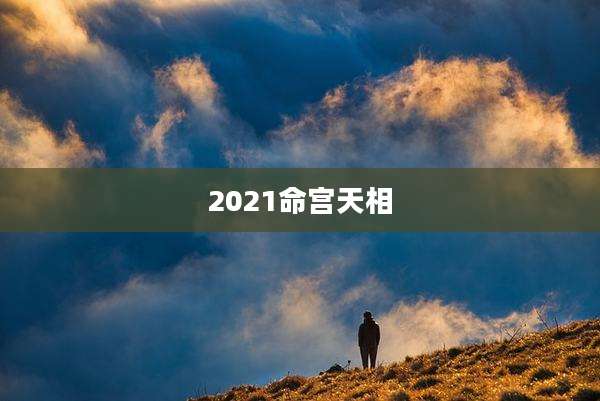 2021命宫天相
