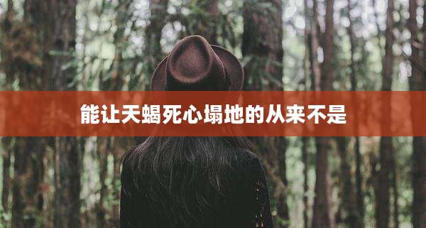 能让天蝎死心塌地的从来不是