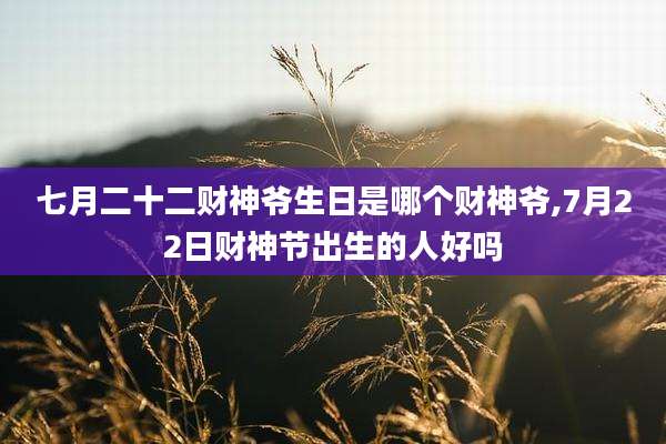 七月二十二财神爷生日是哪个财神爷,7月22日财神节出生的人好吗