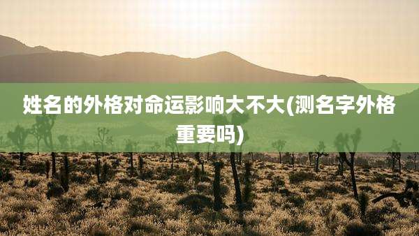 姓名的外格对命运影响大不大(测名字外格重要吗)