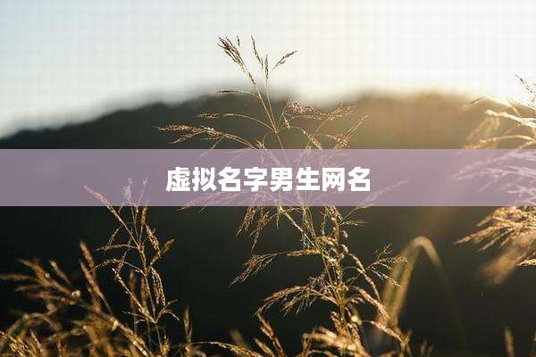 虚拟名字男生网名