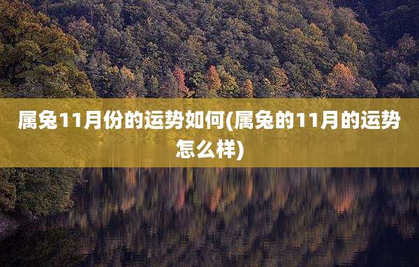 属兔11月份的运势如何(属兔的11月的运势怎么样)
