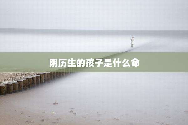 阴历生的孩子是什么命