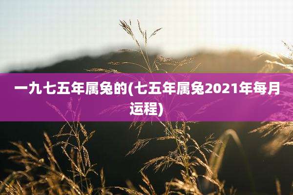 一九七五年属兔的(七五年属兔2021年每月运程)