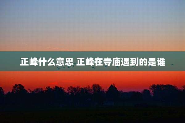 正峰什么意思 正峰在寺庙遇到的是谁