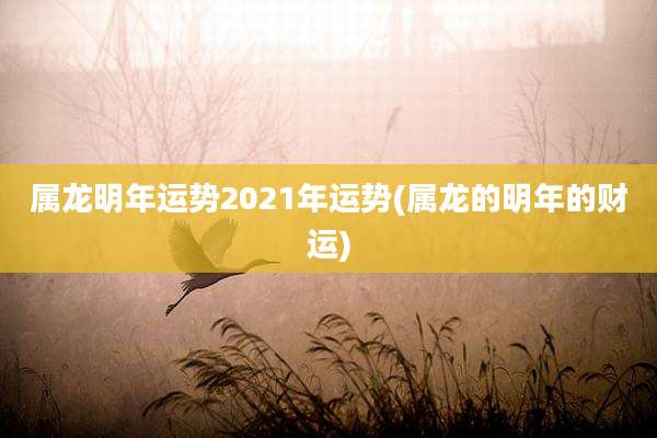 属龙明年运势2021年运势(属龙的明年的财运)