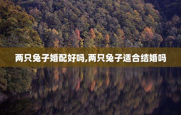 两只兔子婚配好吗,两只兔子适合结婚吗